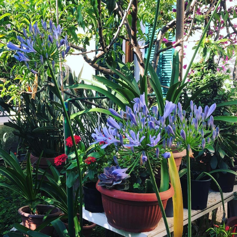 לינה וארוחת בוקר וירג'יו Casa Fornaciari מראה חיצוני תמונה