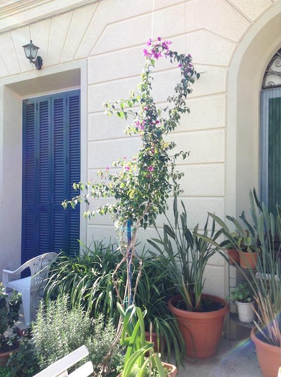 לינה וארוחת בוקר וירג'יו Casa Fornaciari מראה חיצוני תמונה
